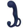 CalExotics Viceroy Stimulateur de prostate Agility Probe Viceroy 9 x 3cm